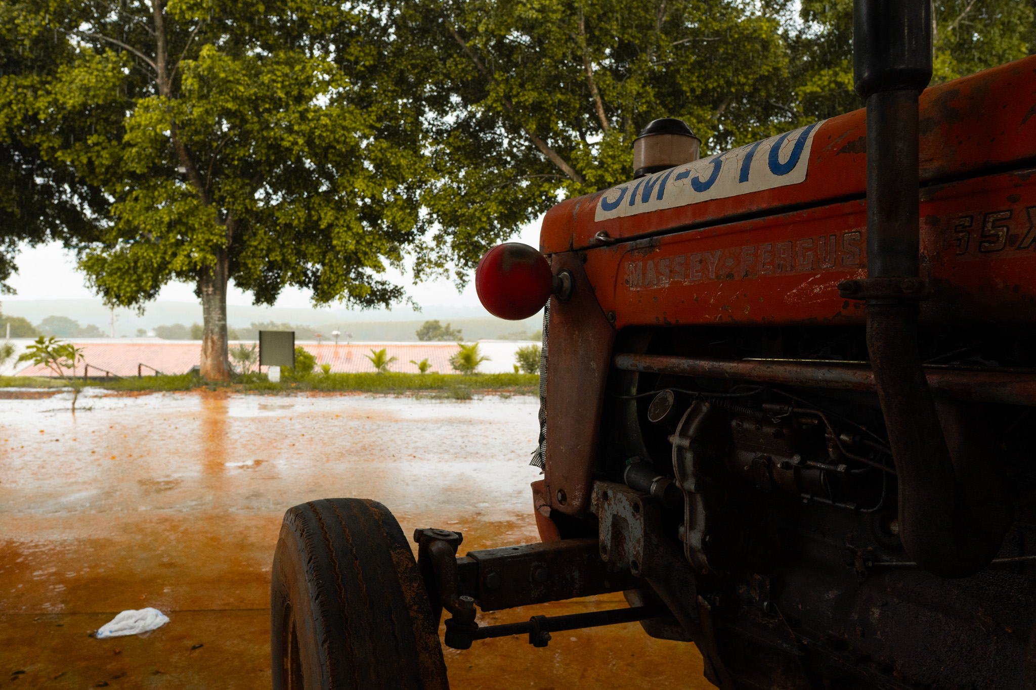 Voe Farm, momento 34