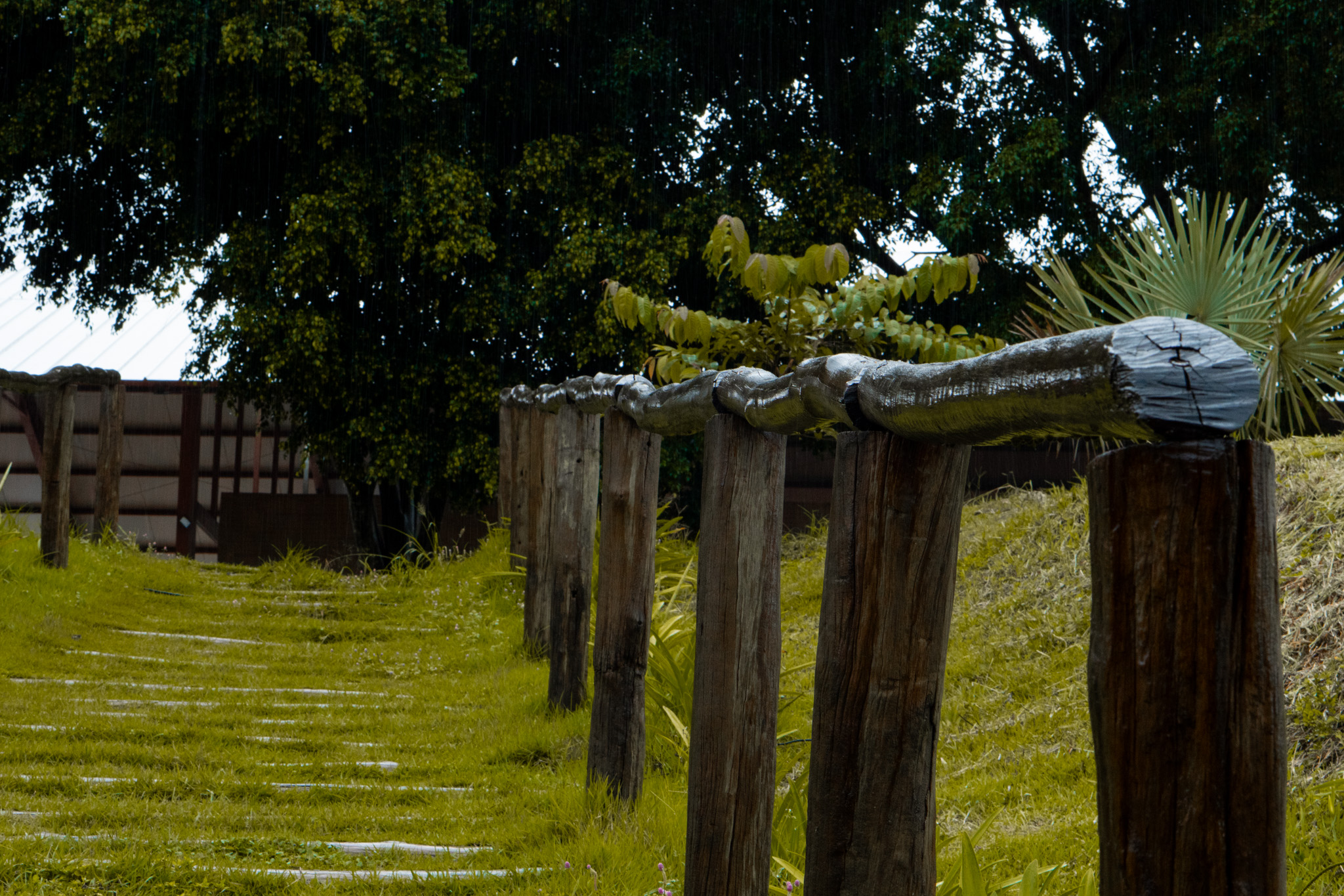 Voe Farm, momento 37
